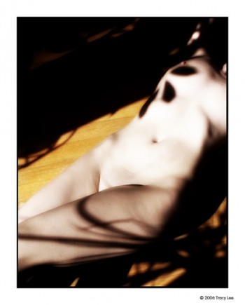 © Tracy Lee