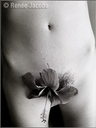 Erotic photos by Renée Jacobs